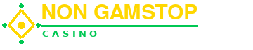 Non GamStop Casino UK — thinkwaredashcam.uk